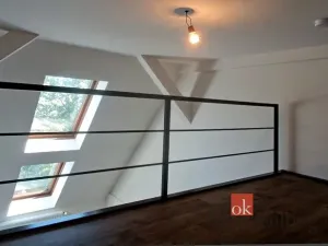 Pronájem bytu 1+kk, Ostrava - Přívoz, Palackého, 26 m2