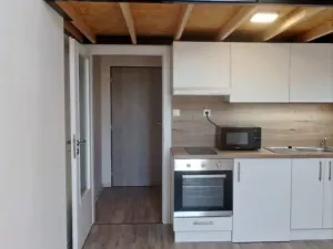 Pronájem bytu 1+kk, Ostrava - Přívoz, Palackého, 26 m2