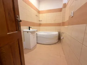Pronájem bytu 1+kk, Ústí nad Labem - Ústí nad Labem-centrum, Moskevská, 30 m2