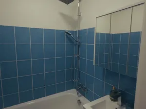 Pronájem bytu 2+kk, Opava - Předměstí, Olomoucká, 56 m2