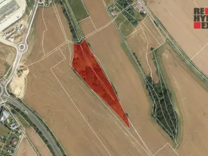 Prodej lesa, Hrádek nad Nisou - Oldřichov na Hranicích, 15525 m2