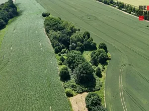 Prodej lesa, Hrádek nad Nisou - Oldřichov na Hranicích, 15525 m2