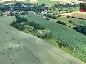 Prodej lesa, Hrádek nad Nisou - Oldřichov na Hranicích, 15525 m2