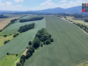 Prodej lesa, Hrádek nad Nisou - Oldřichov na Hranicích, 15525 m2