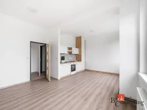 Pronájem bytu 2+kk, Mlékojedy, 57 m2