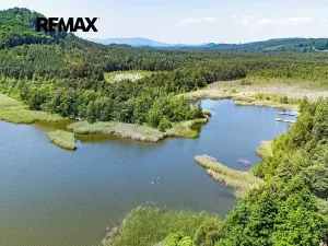 Prodej komerčního pozemku, Doksy, 3913 m2