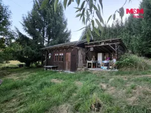 Prodej zahrady, Bělá nad Radbuzou, 6001 m2