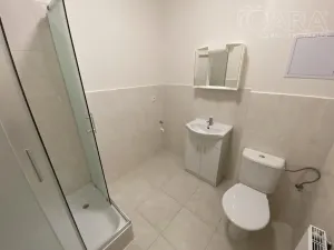 Pronájem bytu 3+kk, Ivanovice na Hané - Chvalkovice na Hané, 85 m2