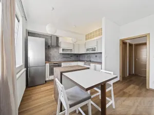 Prodej bytu 2+kk, Plzeň - Jižní Předměstí, U Radbuzy, 57 m2