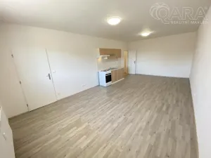 Pronájem bytu 1+kk, Ivanovice na Hané - Chvalkovice na Hané, 46 m2