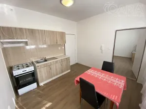 Pronájem bytu 1+1, Ivanovice na Hané - Chvalkovice na Hané, 32 m2