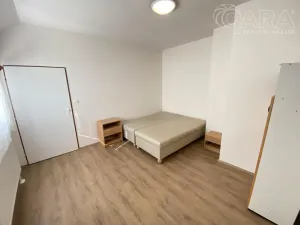 Pronájem bytu 1+1, Ivanovice na Hané - Chvalkovice na Hané, 32 m2