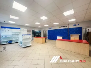 Pronájem skladu, Zlín, Cecilka, 540 m2