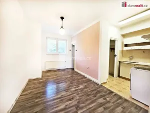 Pronájem bytu 3+kk, Lovosice, 28. října, 73 m2