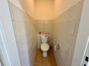 Pronájem komerční nemovitosti, Teplice - Trnovany, Antonína Sochora, 114 m2