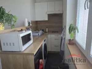 Pronájem bytu 1+kk, Opava - Kateřinky, Fügnerova, 22 m2
