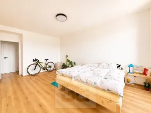 Prodej bytu 2+1, Brno, Rezkova, 61 m2