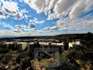 Prodej bytu 2+1, Brno, Rezkova, 61 m2