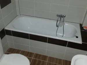 Pronájem bytu 2+kk, Praha - Žižkov, Hartigova, 56 m2