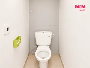 Prodej bytu 2+kk, Praha - Braník, Nad lesním divadlem, 44 m2