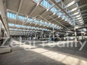 Pronájem výrobních prostor, Veselí nad Moravou, 2000 m2