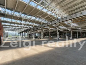 Pronájem výrobních prostor, Veselí nad Moravou, 2000 m2