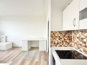 Pronájem bytu 1+kk, Brno, Halasovo náměstí, 26 m2