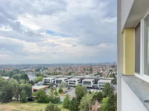 Pronájem bytu 1+kk, Brno, Halasovo náměstí, 26 m2