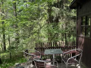 Pronájem chaty, Jivno, 40 m2