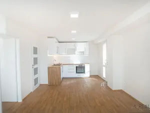 Pronájem bytu 2+kk, Ostrava, Svojsíkova, 57 m2