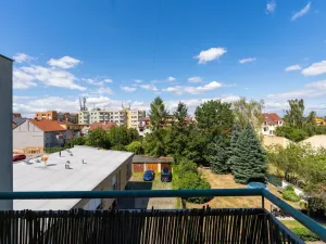 Prodej bytu 2+kk, České Budějovice - České Budějovice 3, Riegrova, 46 m2