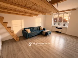 Pronájem bytu 1+1, Znojmo, Loucká, 40 m2