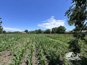 Prodej rodinného domu, Chernookovo, Bulharsko, 125 m2