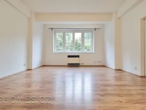 Pronájem bytu 2+kk, Praha - Žižkov, Biskupcova, 46 m2