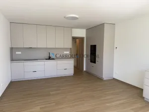 Pronájem bytu 1+kk, Ostrava - Slezská Ostrava, U Hájenky, 34 m2