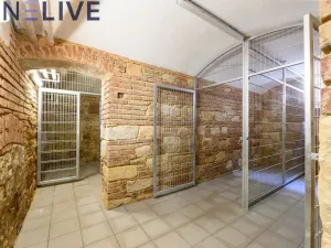 Pronájem bytu 3+1, Plzeň, Kardinála Berana, 104 m2