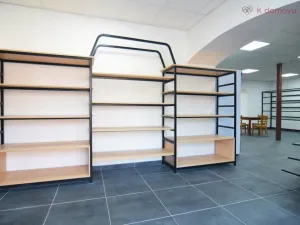 Prodej rodinného domu, Olomouc - Holice, Keplerova, 480 m2
