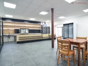 Prodej rodinného domu, Olomouc - Holice, Keplerova, 480 m2