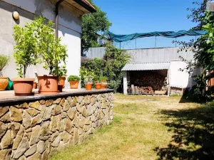 Prodej rodinného domu, Hodonín, Plucárna, 303 m2