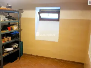 Prodej rodinného domu, Hodonín, Plucárna, 303 m2