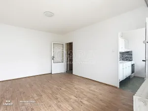 Prodej bytu 1+1, Praha - Troja, Písečná, 33 m2