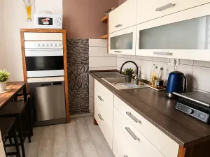Prodej bytu 2+1, Kynšperk nad Ohří, náměstí SNP, 55 m2