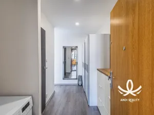 Pronájem bytu 2+kk, Mladá Boleslav, 17. listopadu, 44 m2