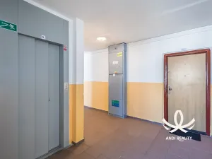 Pronájem bytu 2+kk, Mladá Boleslav, 17. listopadu, 44 m2