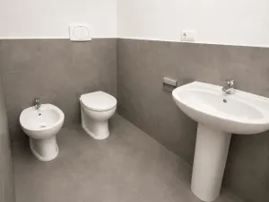 Prodej bytu 2+kk, Praha - Nové Město, Koubkova, 52 m2