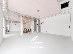 Prodej rodinného domu, Háj ve Slezsku, Na Hájku, 164 m2