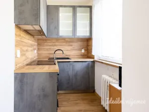 Pronájem bytu 1+kk, Praha - Chodov, Ledvinova, 29 m2