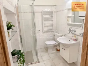 Pronájem bytu 2+kk, Brno - Královo Pole, Ruská, 61 m2