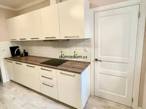 Pronájem bytu 1+1, Praha, Chlumova, 47 m2