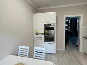 Pronájem bytu 1+1, Praha, Chlumova, 47 m2